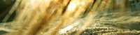 Z Photo Blog Z Photo Blog